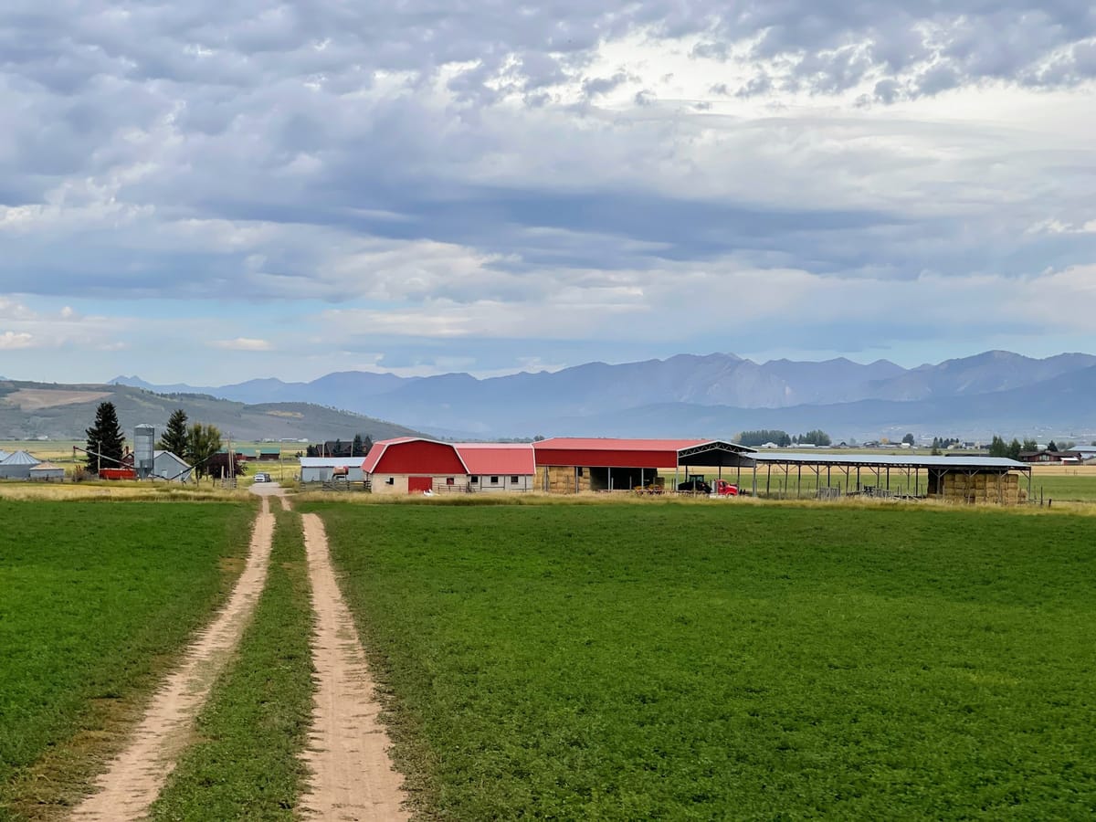 Fields with the farm