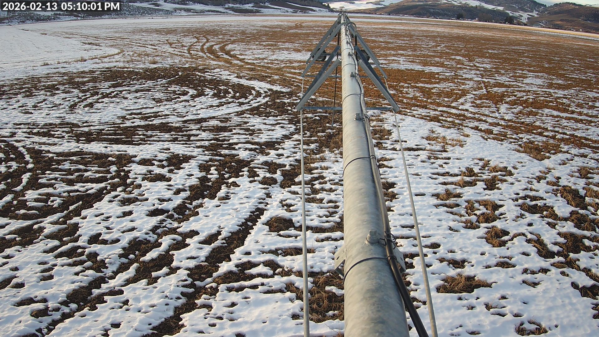 Live Camera Snapshot