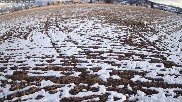 Live Camera Snapshot