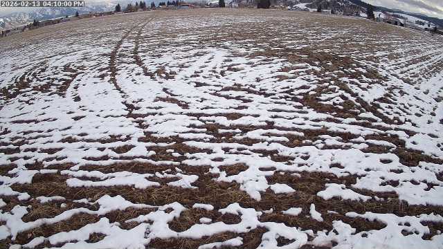 Live Camera Snapshot One Hour Ago