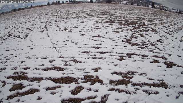 Live Camera Snapshot, Noon of Yesterday