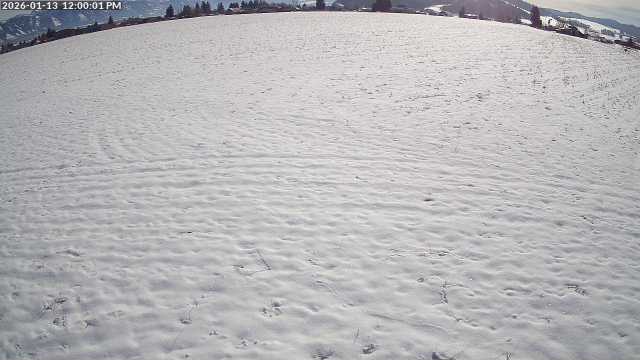 Live Camera Snapshot