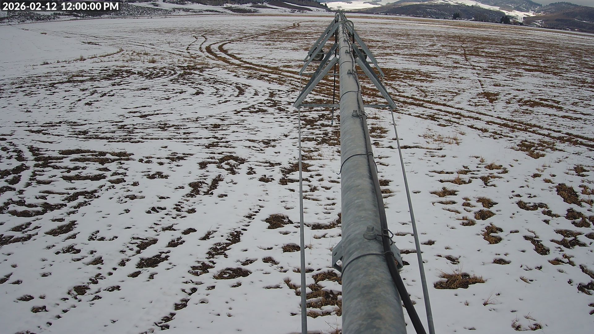 Live Camera Snapshot, Noon of Yesterday