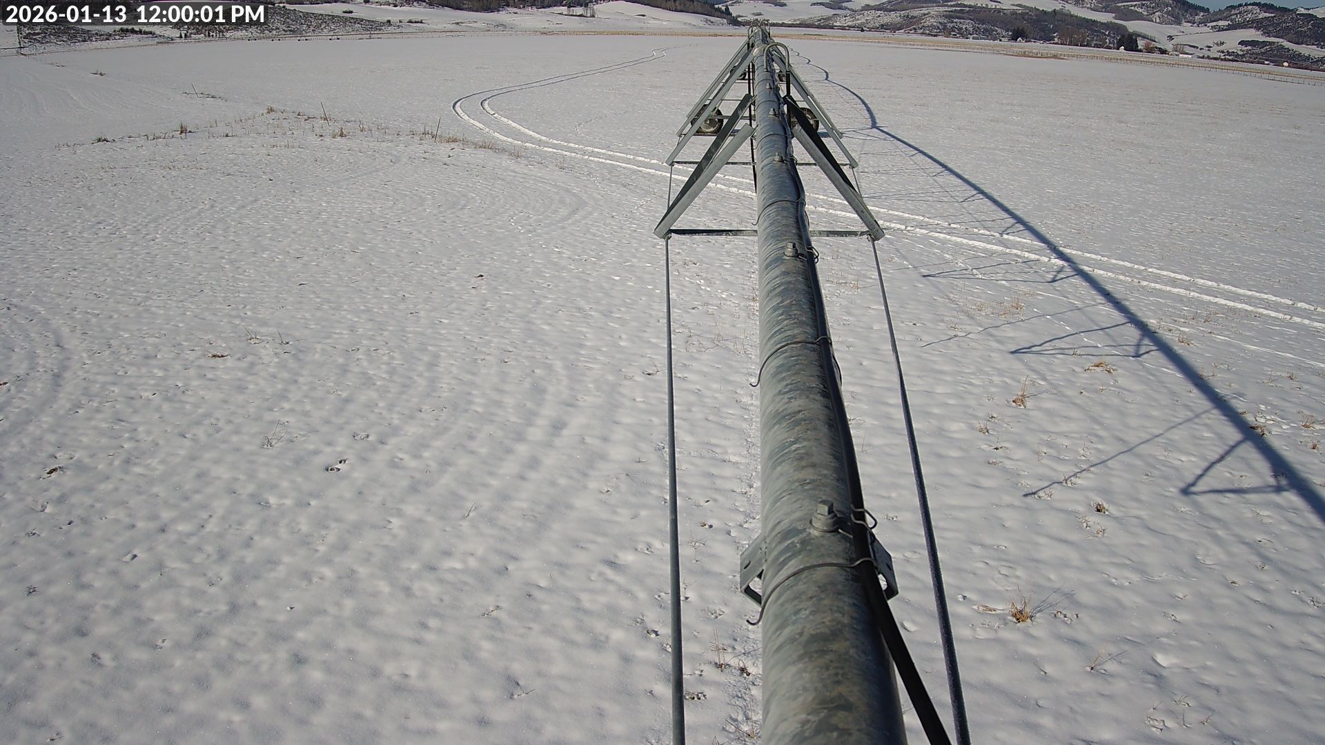 Live Camera Snapshot