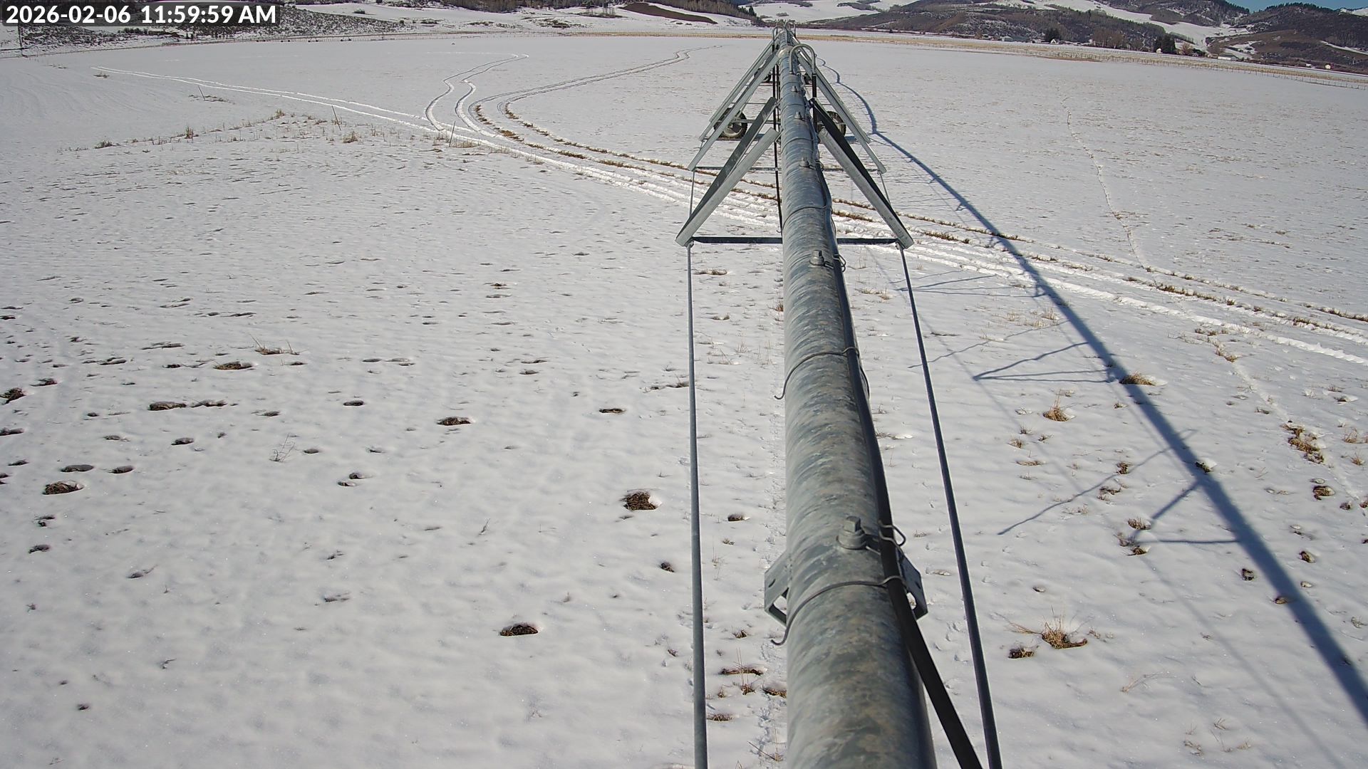 Live Camera Snapshot